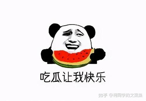 娱乐吃瓜文案图片搞笑,娱乐吃瓜界的欢乐盛宴